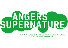 ANGERS SUPERNATURE